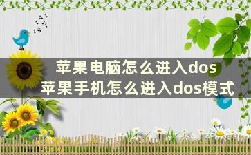 苹果电脑怎么进入dos 苹果手机怎么进入dos模式